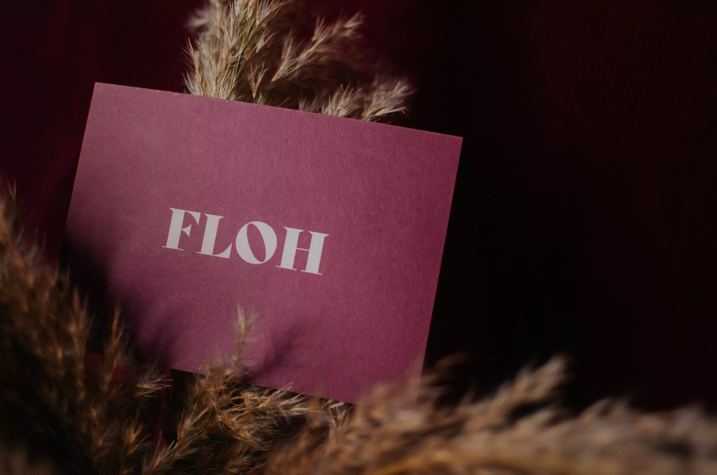 Floh Brand Identity - Greeting Cards