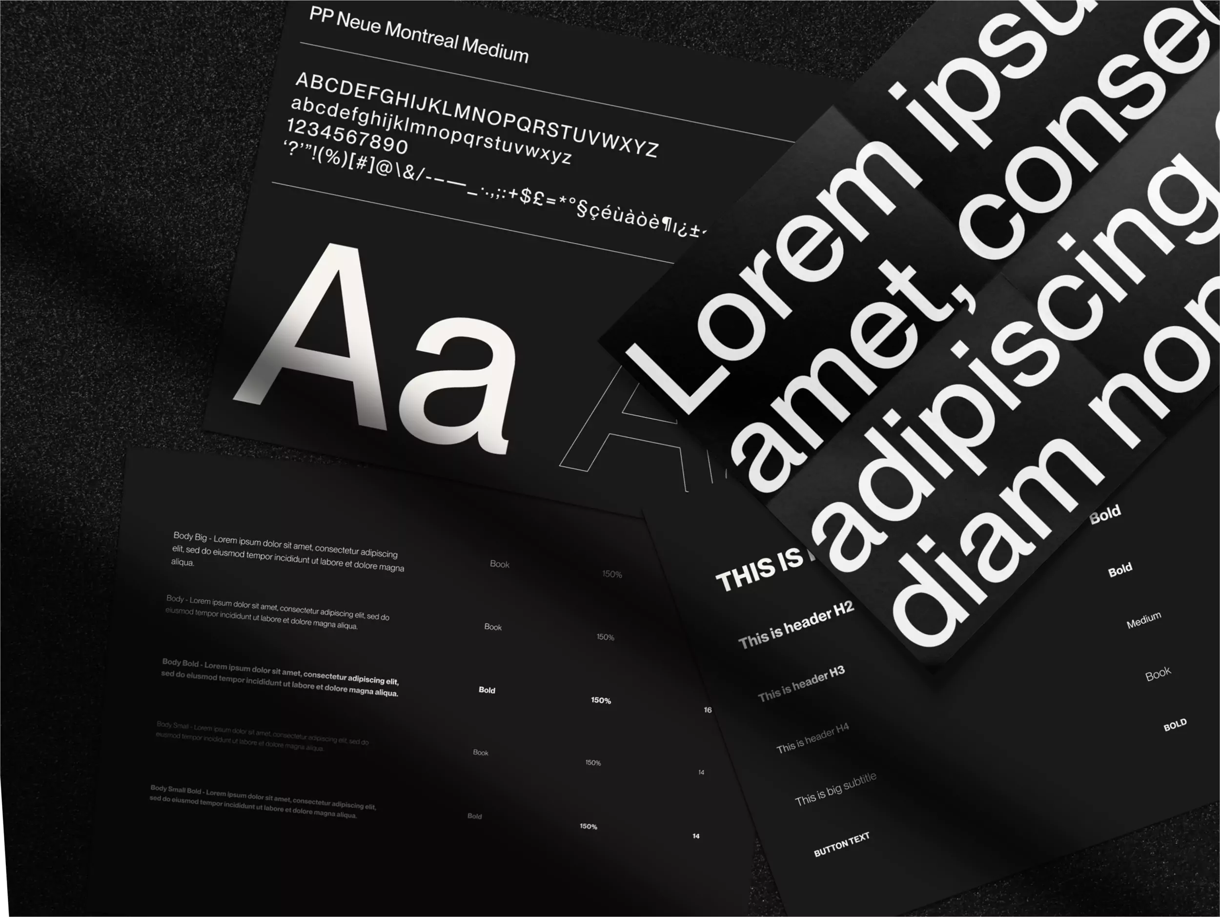 Visual Identity for Emme - Typography Guidelines